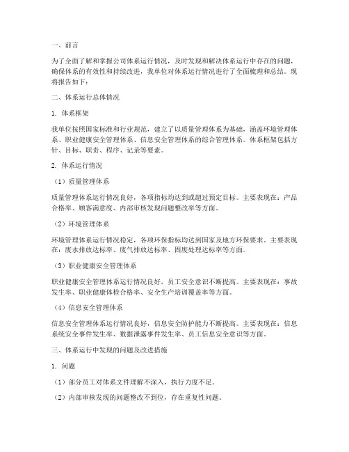 体系运行情况报告