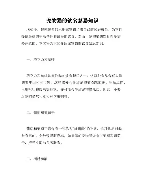 宠物猫的饮食禁忌知识 
