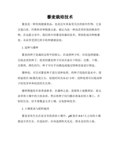 藜麦栽培技术