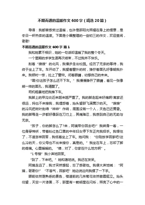 不期而遇的温暖作文600字（精选20篇）