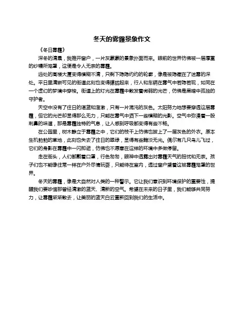 冬天的雾霾景象作文