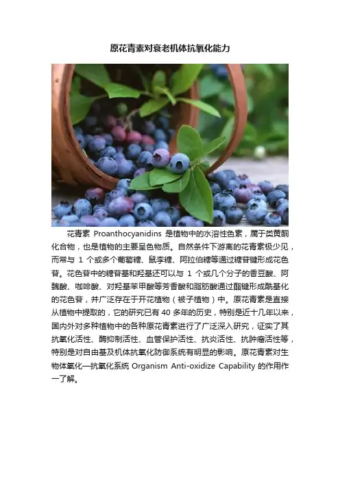 原花青素对衰老机体抗氧化能力
