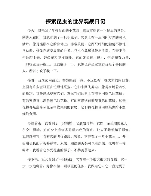  小学三年级作文探索昆虫的世界观察日记