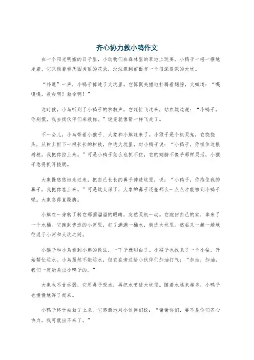 齐心协力救小鸭作文