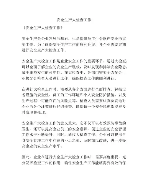 安全生产大检查工作