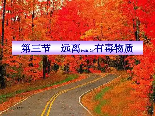 九年级化学全册 第五单元 化学与健康 第三节 远离有毒物质课件 