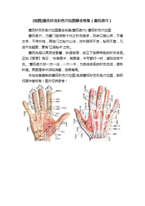 [组图]董氏针灸彩色穴位图最全收集（董氏奇穴）