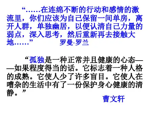 10《孤独之旅》ppt课件(46页)