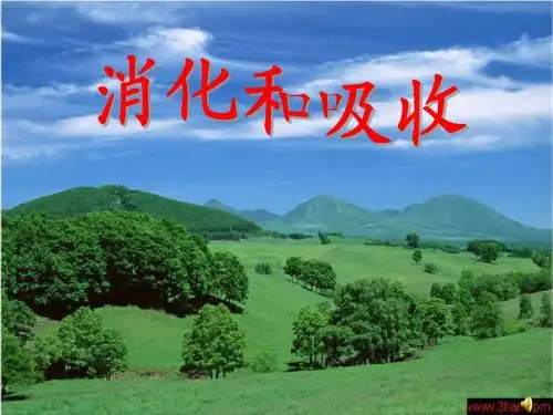七年级生物 消化和吸收 ppt课件