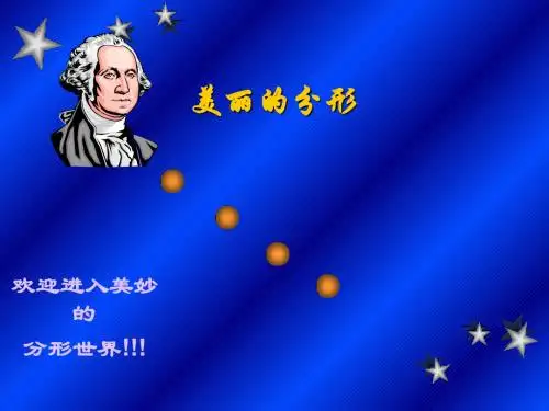 美丽的分形ppt-PPT文档资料