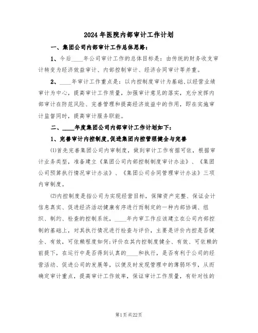 2024年医院内部审计工作计划(6篇)