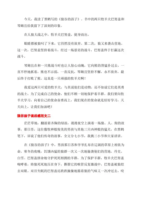 《狼谷的孩子》读后感350字