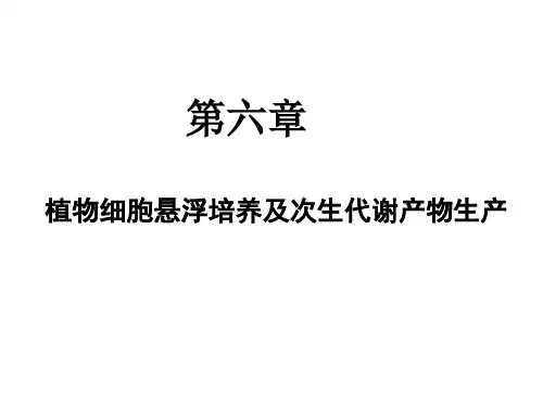 植物细胞悬浮培养及次生代谢产物生产
