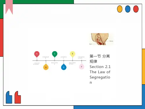 医学遗传学第三章第一节分离规律