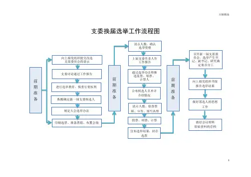 支委换届选举工作流程图