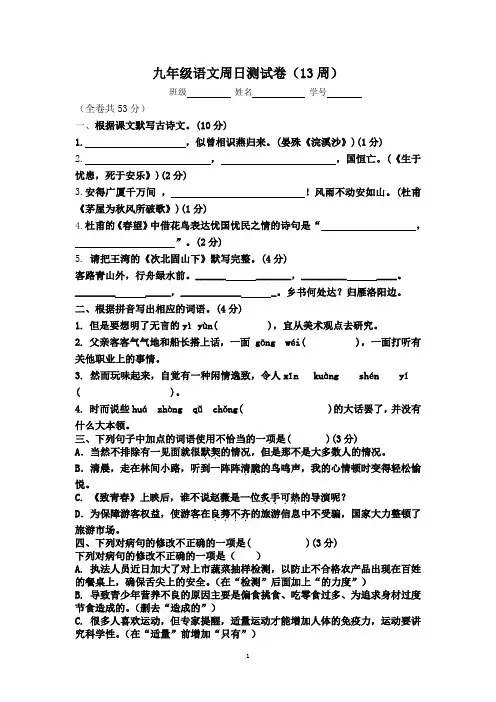 13周九年级语文周日测试卷