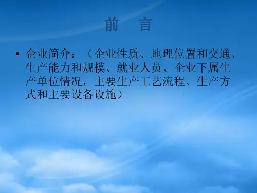 某水电企业安全生产标准化自评报告