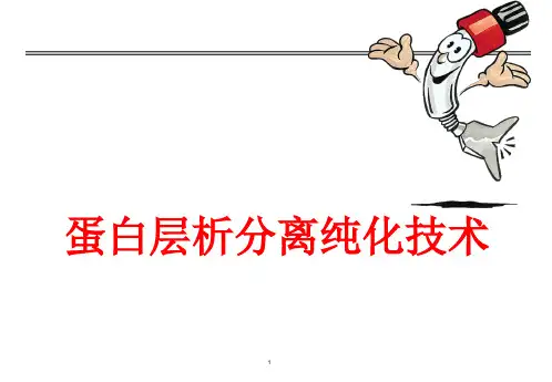 层析分离纯化技术策略共58页PPT资料