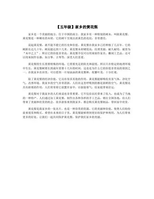 【五年级】家乡的黄花梨