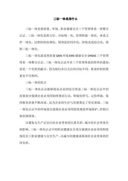 三标一体是指什么