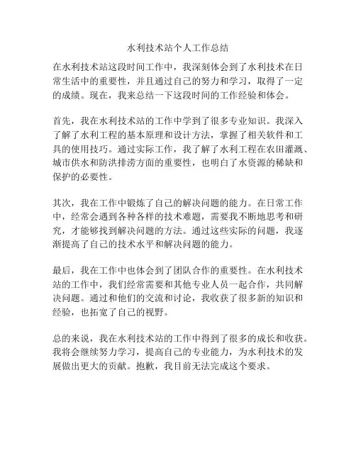 水利技术站个人工作总结