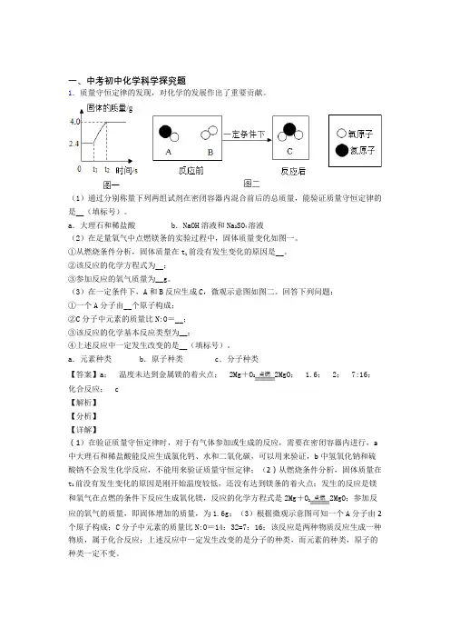 中考化学复习探究题专项易错题含详细答案