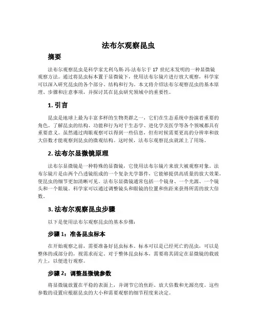 法布尔观察昆虫