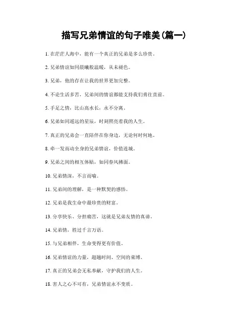 描写兄弟情谊的句子唯美(精选两篇)