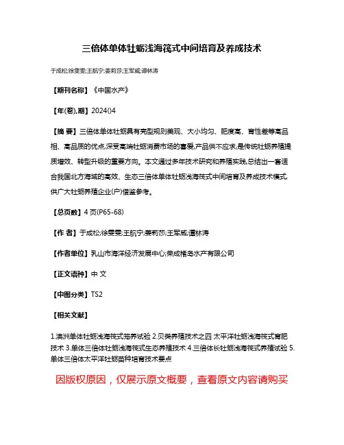 三倍体单体牡蛎浅海筏式中间培育及养成技术