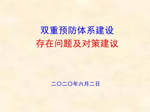 双重预防体系建设存在问题及对策建议(2020年6月2日)