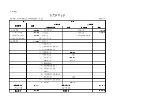 收支预算总表