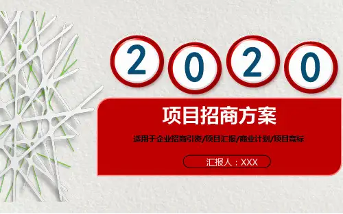 项目介绍框架PPT