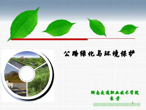 公路绿化与环境保护PPT
