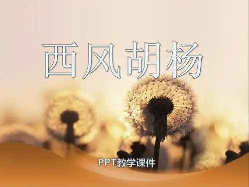 语文五上《西风胡杨》4PPT课件