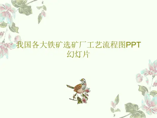 我国各大铁矿选矿厂工艺流程图PPT幻灯片35页文档