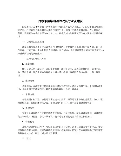 白城市盐碱地治理改良方法及建议