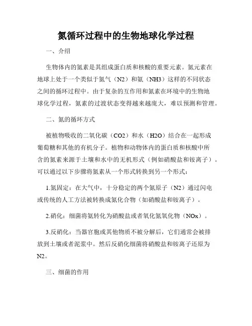 氮循环过程中的生物地球化学过程