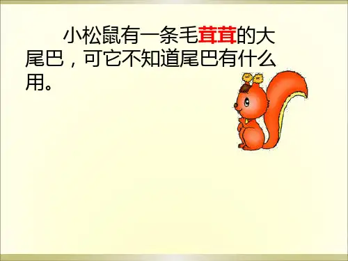 二年级上册语文课件-27 松鼠的尾巴丨沪教版(2015秋)(共17张PPT)