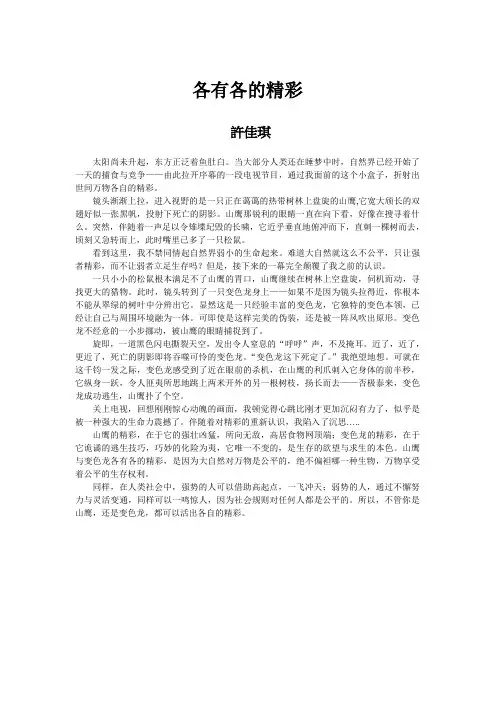 各有各的精彩  高考作文