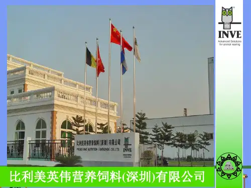最新的营养概念2021精选PPT