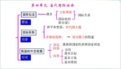 政治生活一轮专项复习第八课走近国际社会