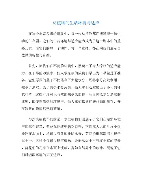 动植物的生活环境与适应