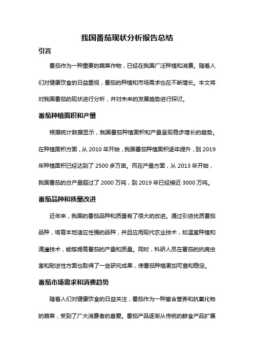 我国番茄现状分析报告总结