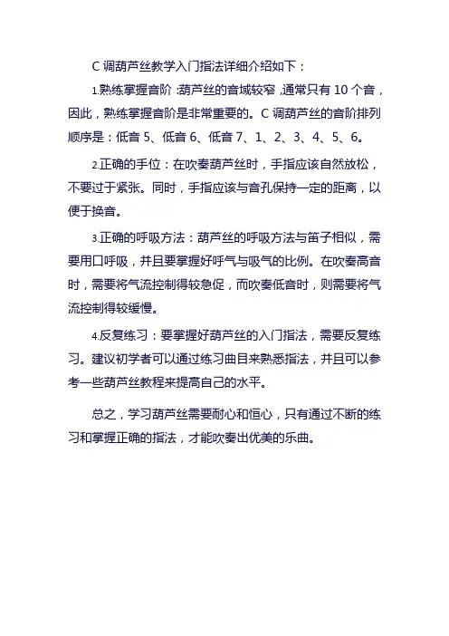 c调葫芦丝教学入门指法