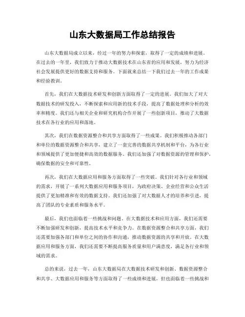 山东大数据局工作总结报告