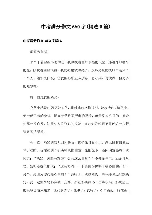 中考满分作文650字(精选8篇)
