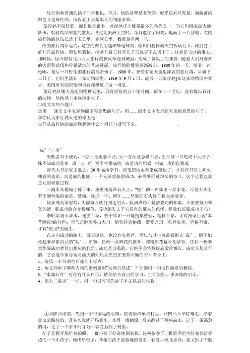 一些适合小学五六年级的语文阅读理解题 (2)
