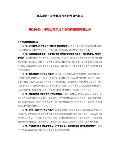 食品项目可行性报告