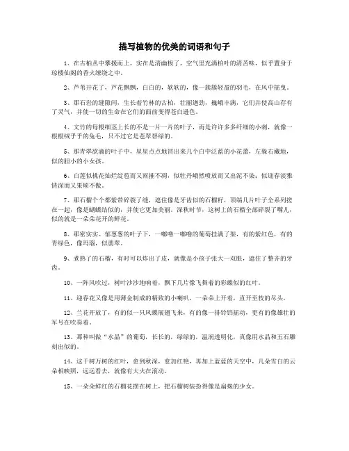 描写植物的优美的词语和句子