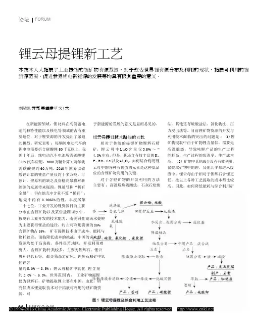 锂云母提锂新工艺